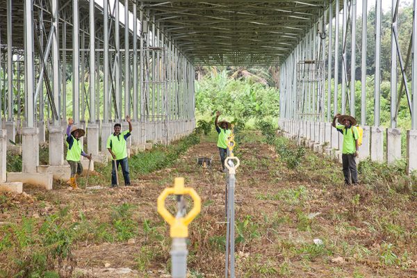 Eco Seido project - Matahari Kencana Tanjung Malim