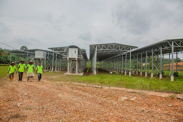 Eco Seido project - Matahari Kencana Tanjung Malim