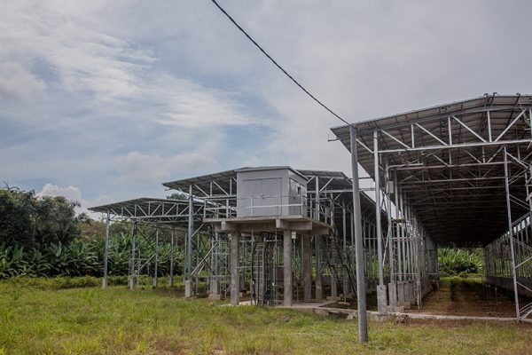 Eco Seido project - Matahari Kencana Tanjung Malim