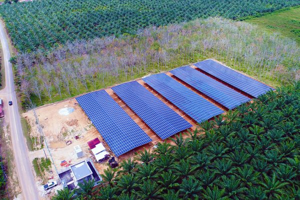 Eco Seido project- Pendang, Ipoh